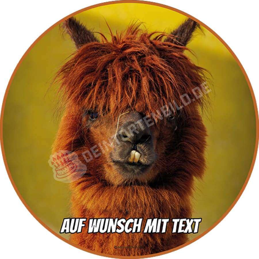 Motiv: Lama mit schiefen Zähnen - Hochwertige und individuelle Tortenaufleger für jeden Anlass
Tortenaufleger Lama mit schiefen Zähnen in 20cm Kreis
Unsere Tortenaufleger sind ein ideales Geschenk f - Tortenbild - DeintortenbildLama mit schiefen
