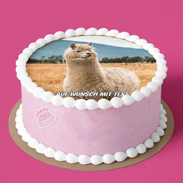 Motiv: Wolliges Lama - Hochwertige und individuelle Tortenaufleger für jeden Anlass
Tortenaufleger Wolliges Lama in 20cm Kreis
Unsere Tortenaufleger sind ein ideales Geschenk für besonder - A4 Tortenbild - DeintortenbildWolliges Lama