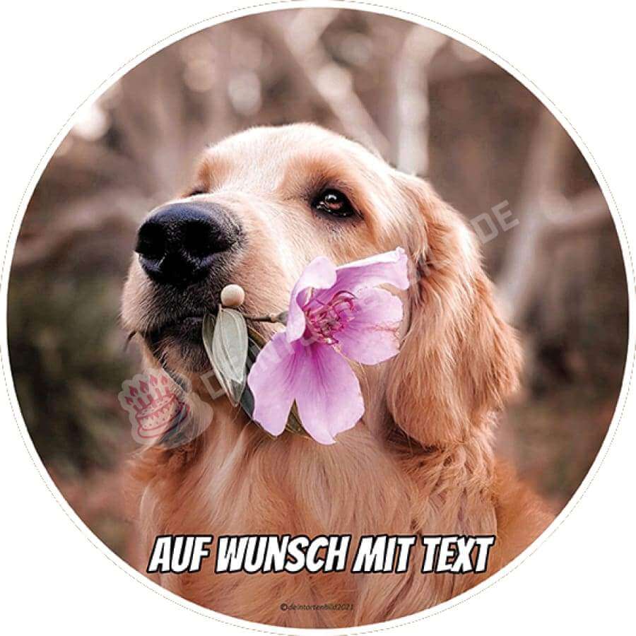 Motiv: Hund mit Blume - Hochwertige und individuelle Tortenaufleger für jeden Anlass
Tortenaufleger Hund mit Blume in 20cm Kreis 
Unsere Tortenaufleger sind ein ideales Geschenk für besonde - Tortenbild - DeintortenbildHund mit Blume