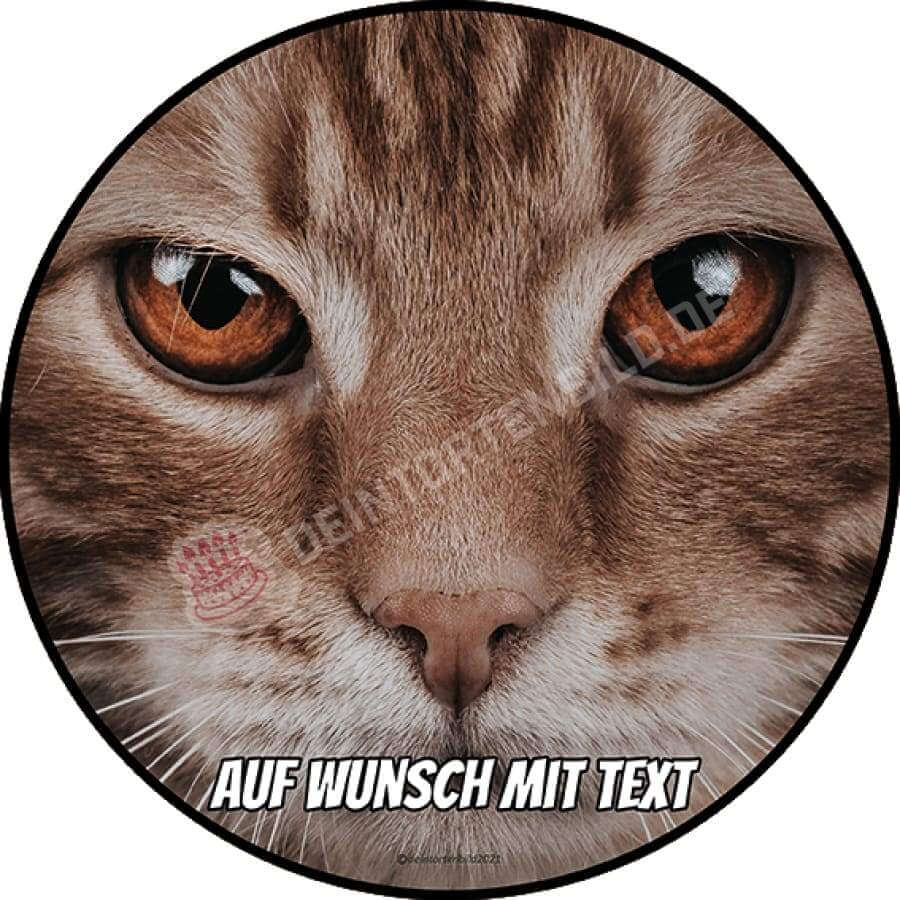 Motiv: Katze Frontal - Hochwertige und individuelle Tortenaufleger für jeden Anlass
Tortenaufleger Katze Frontal 20cm Kreis 
Unsere Tortenaufleger sind ein ideales Geschenk für besondere M - A4 Tortenbild - DeintortenbildKatze Frontal