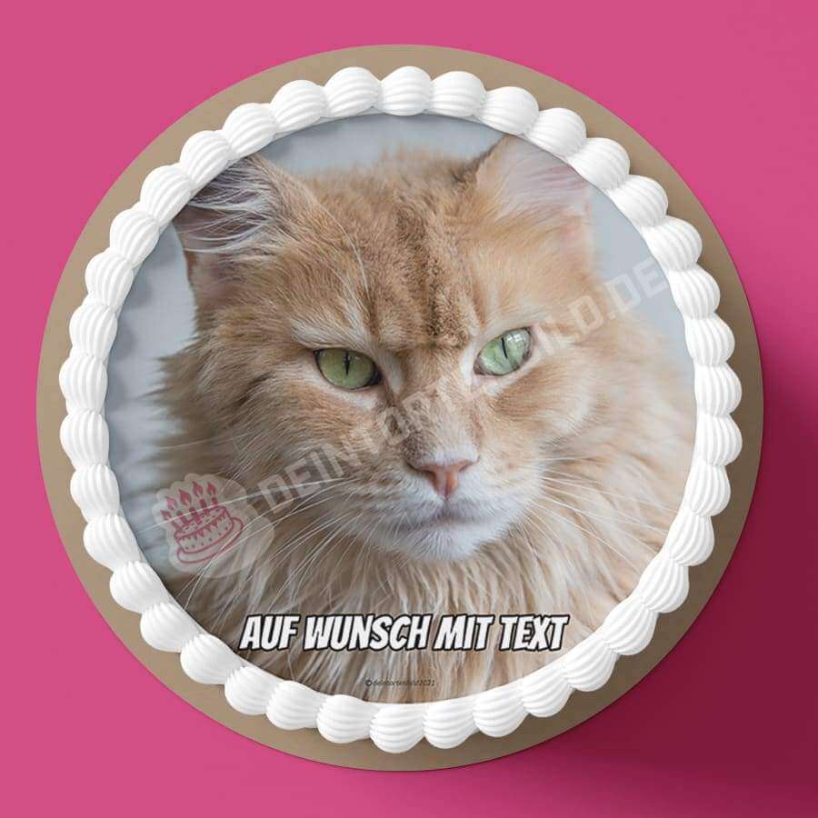 Motiv: Katze Beige - Hochwertige und individuelle Tortenaufleger für jeden Anlass
Tortenaufleger Katze Beige Fotomotiv 20cm Kreis 
Unsere Tortenaufleger sind ein ideales Geschenk für bes - Tortenbild - DeintortenbildKatze Beige