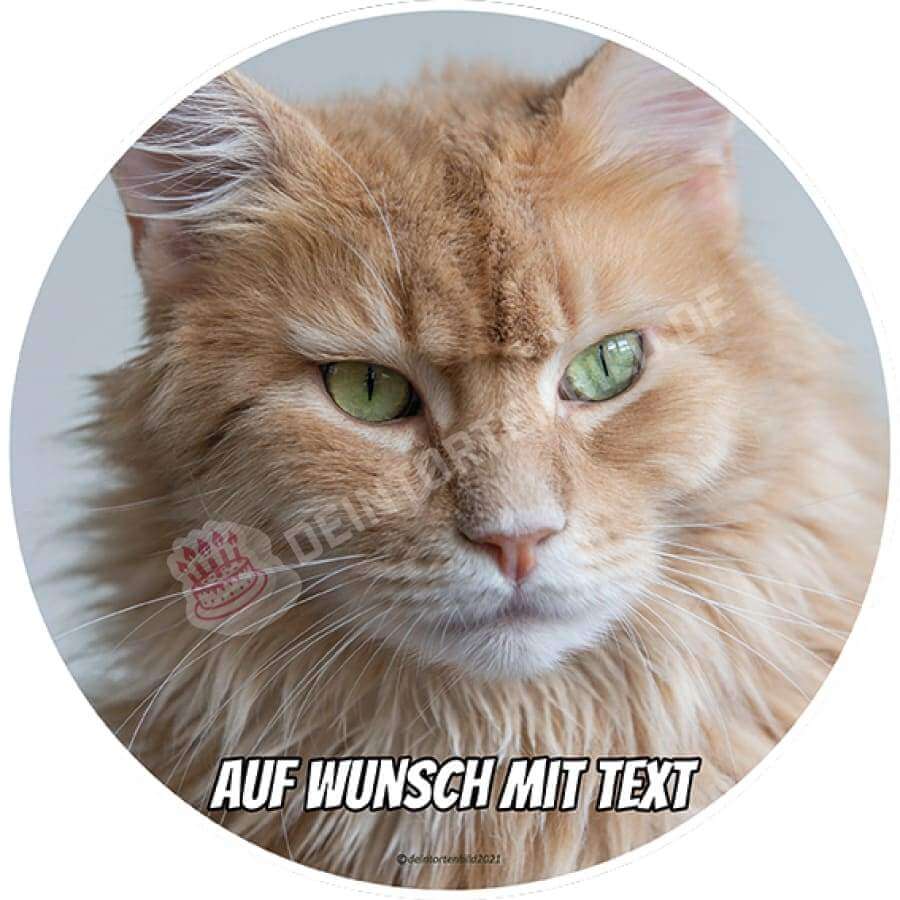 Motiv: Katze Beige - Hochwertige und individuelle Tortenaufleger für jeden Anlass
Tortenaufleger Katze Beige Fotomotiv 20cm Kreis 
Unsere Tortenaufleger sind ein ideales Geschenk für bes - Tortenbild - DeintortenbildKatze Beige