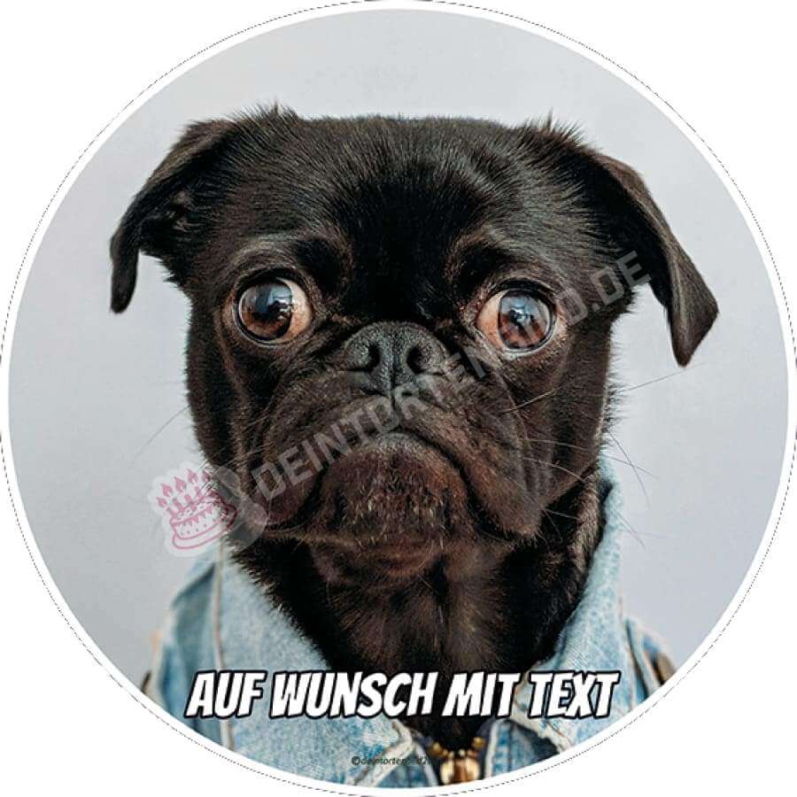 Motiv: Mops in Jeansjacke - Deintortenbild.de Tortenaufleger aus Esspapier: Oblatenpapier, Zuckerpapier, Fondantpapier