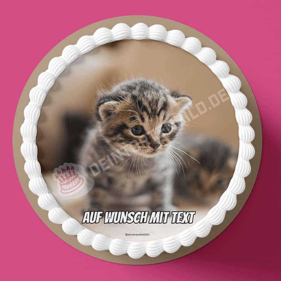 Motiv: Katzenbaby - Hochwertige und individuelle Tortenaufleger für jeden Anlass
Tortenaufleger Katzenbaby 20cm Kreis 
Unsere Tortenaufleger sind ein ideales Geschenk für besondere Mens - Tortenbild - DeintortenbildMotiv