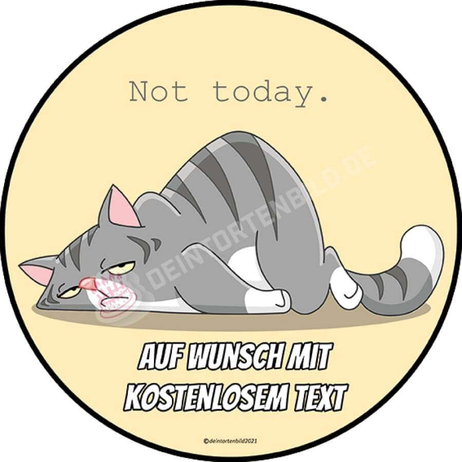 Motiv: "Not Today" - Faule Katze von Deintortenbild – Tortenaufleger, Tortenfoto, Tortenbild, personalisiert & individuell bei Deintortenbild.de