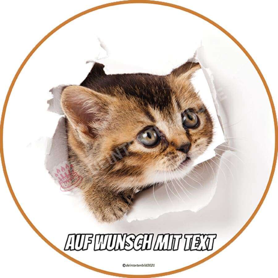 Motiv: Katze durch Papier #2 - Deintortenbild.de Tortenaufleger aus Esspapier: Oblatenpapier, Zuckerpapier, Fondantpapier